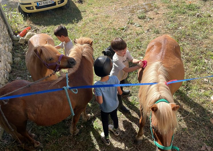 Les Poneys du Val d'Emeraude_Lasalle