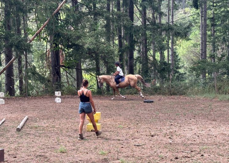 Les Poneys du Val d'Emeraude_Lasalle