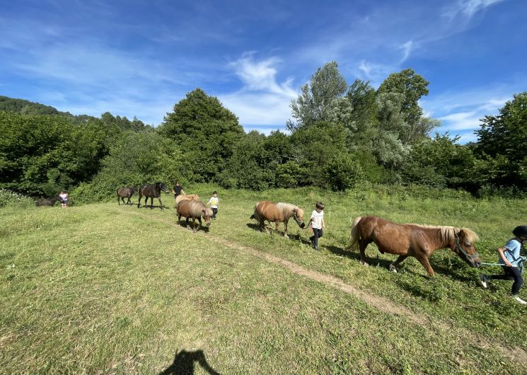 Les Poneys du Val d'Emeraude_Lasalle