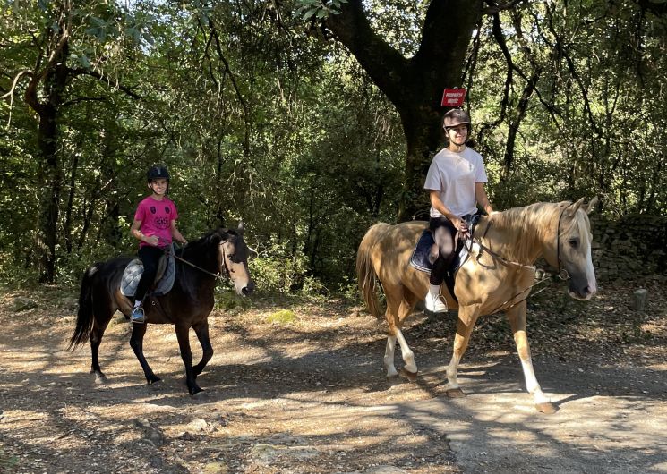 Les Poneys du Val d'Emeraude_Lasalle