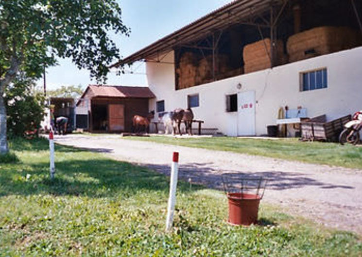 Centre equestre