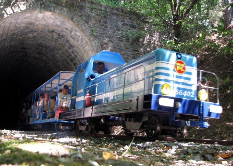 Train d'Andorge-Ste Cécile -1