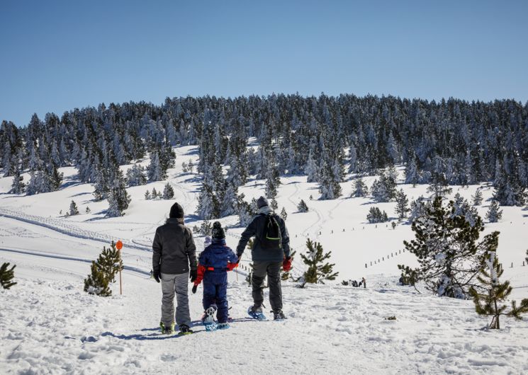 La familia de raquetas de nieve de Beille