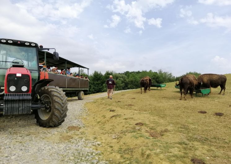 Visite guidée de la ferme en tracteur