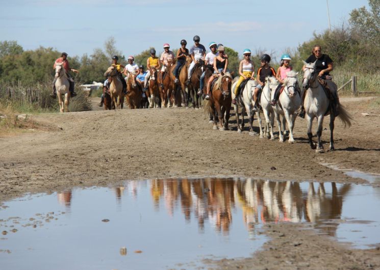 Abrivado Ranch