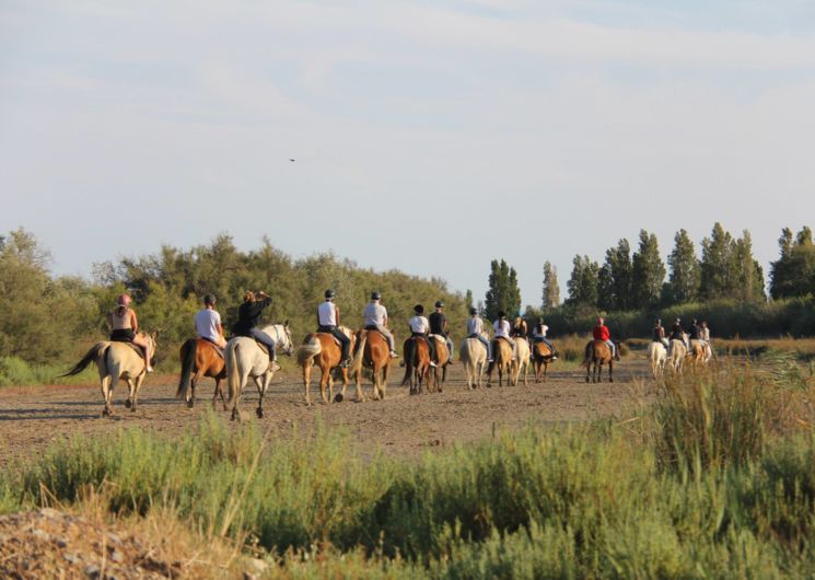 Abrivado Ranch