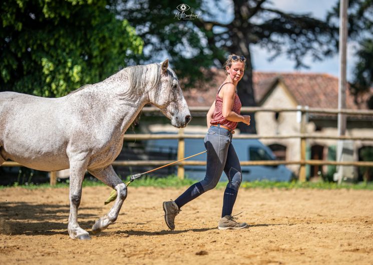 Centre Equestre Equileuk - Larée