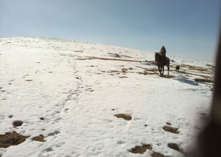 La ferme équestre de Thomas et Elsa