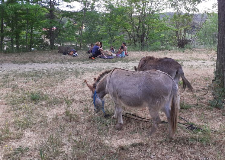 Pic-nic au bord du Gardon