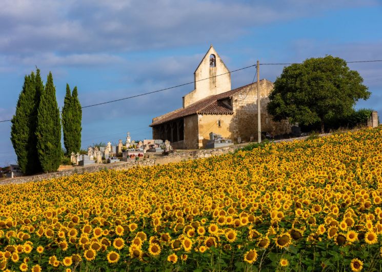 Lavoirs et Moulin de Jegun_Jegun