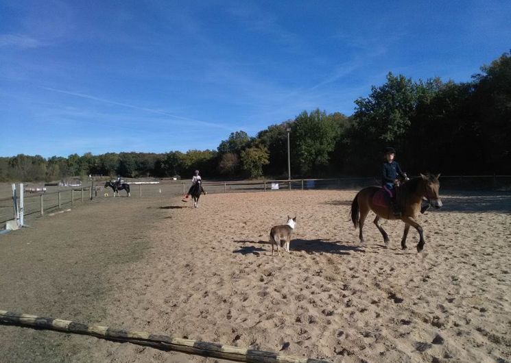 Le scuderie di Banassou