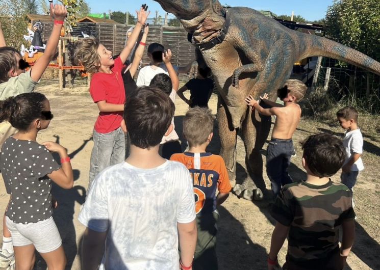 Optimum Loisirs_Gallargues-le-Montueux