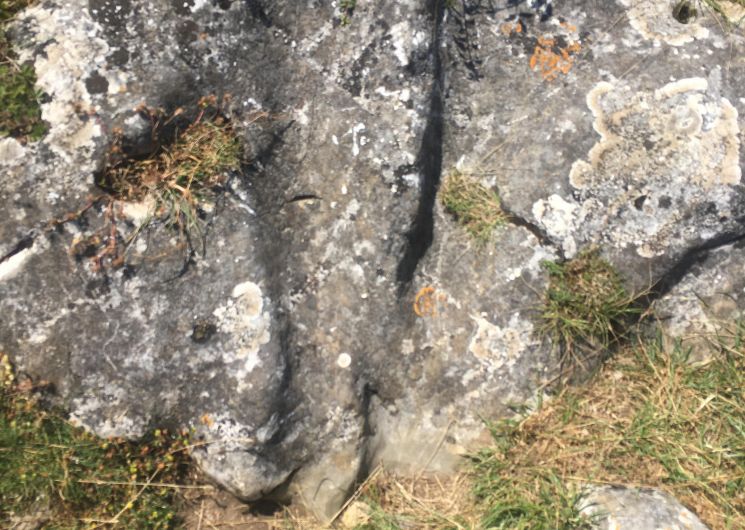 La Capelette de Saint Ferréol_Dourgne