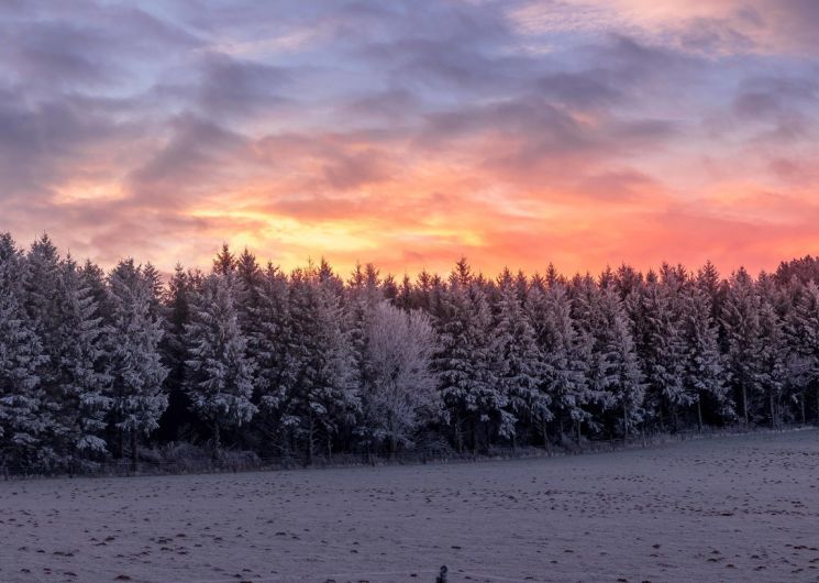 La Capelette de Saint Ferréol_Dourgne