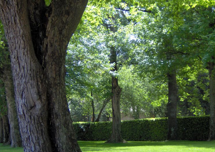 Georges Spénale Park - Saint-Sulpice-La-Pointe - Tarn - 81
