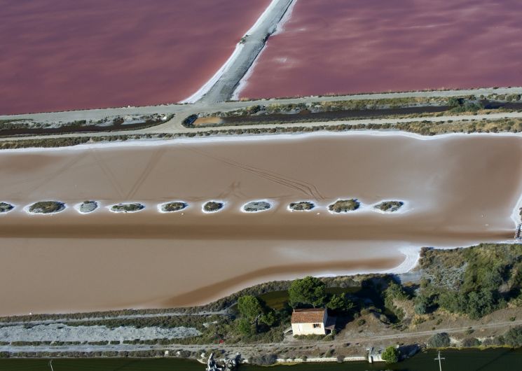 Les salins d'Aigues Mortes_Aigues-Mortes