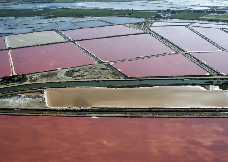 Les salins d'Aigues Mortes_Aigues-Mortes