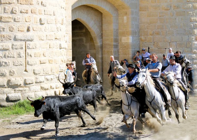 Aigues Mortes, la Cité_Aigues-Mortes