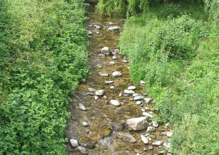 Ruisseau du Brion - Parc Saillens