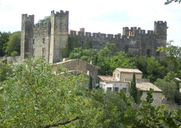 Chateau de Castelnau-Valence-1