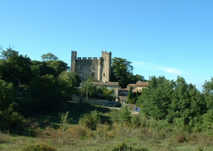 Chateau de Castelnau-Valence-3