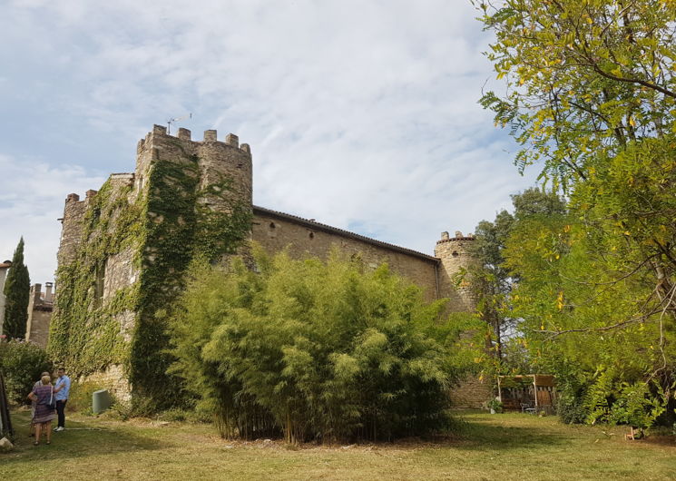 Château de Montmoirac-St Christol-5