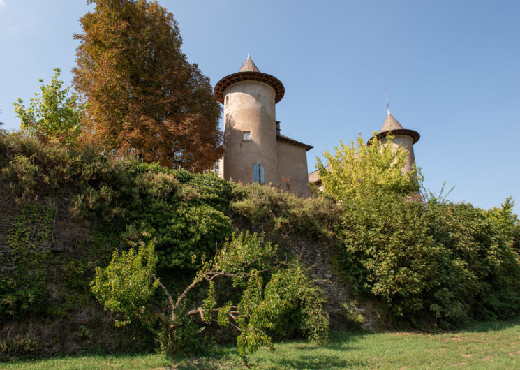 Château de Crouzas-3