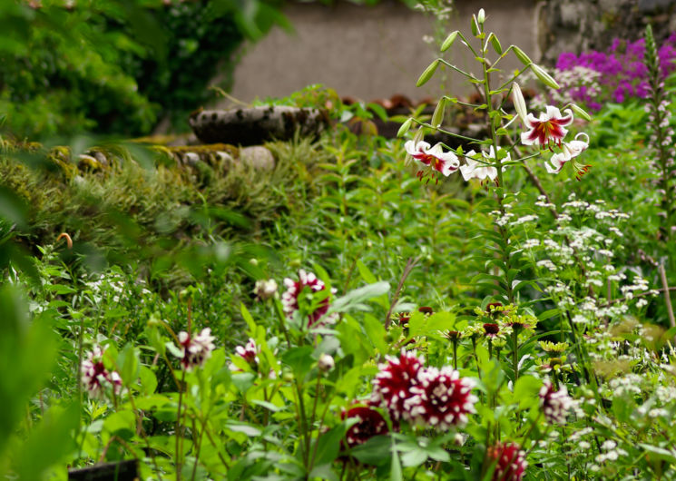 Jardins de curé