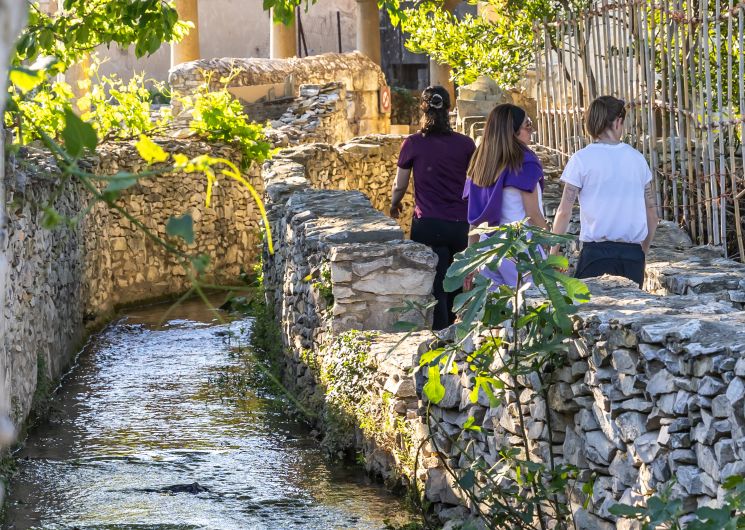 Les Jardins de la Condamine_Tavel