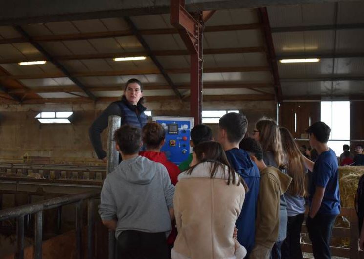 Visite de la bergerie