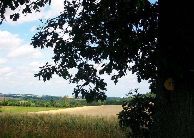 Village of Aurimont_Aurimont