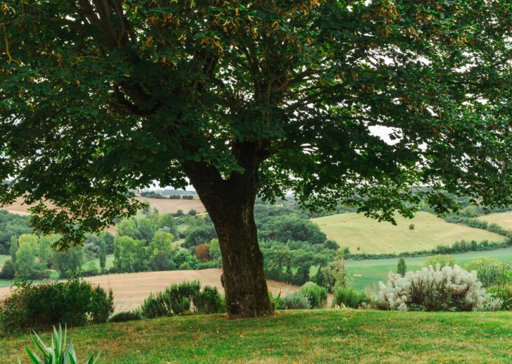 Village of Mongausy_Mongausy