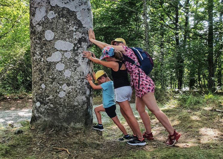 Statue-menhir de Picarel_Fraisse-sur-Agout