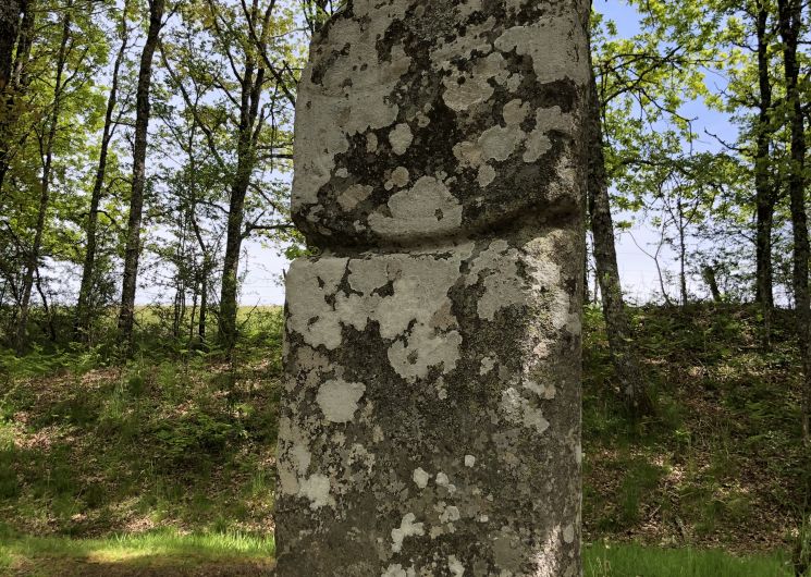 Statue-menhir de Picarel_Fraisse-sur-Agout