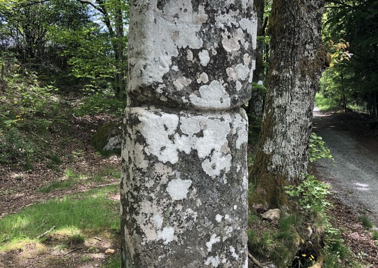 Statue-menhir de Picarel_Fraisse-sur-Agout