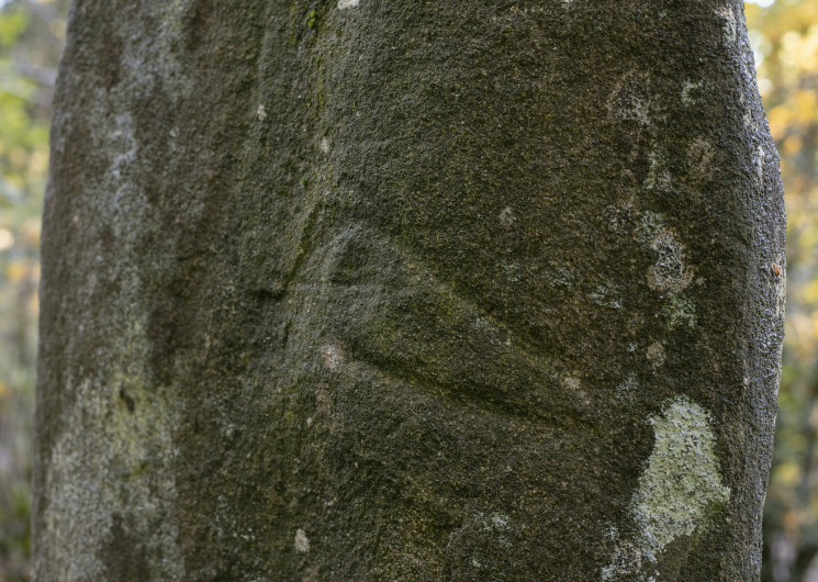 Statue-menhir de Cantoul_Barre