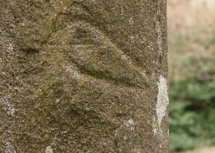 Statue-menhir de Cantoul_Barre