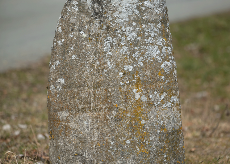 Statue-menhir de Rieuviel (2), dressée en bord de chemin