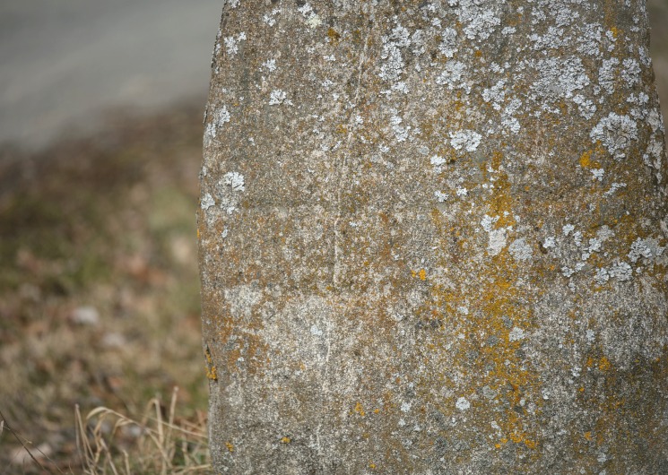 Détail de la face gravée de la statue-menhir de Rieuviel (2)