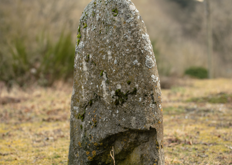 Arrière de la statue-menhir de Rieuviel (2)