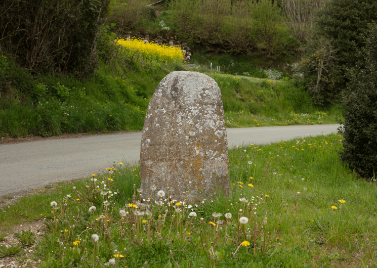 Statue-menhir de Rieuviel (2) dans son environnement naturel