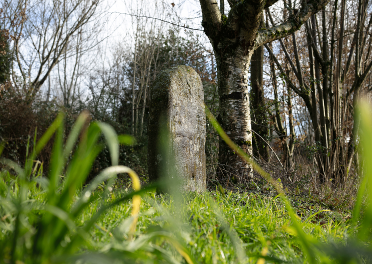 Statue-menhir des Ouvradous 1 dans son environnement