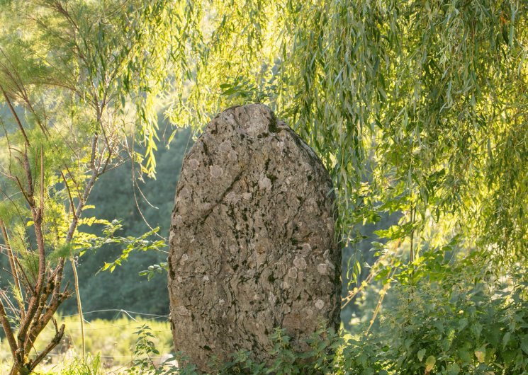 Face principale de la statue-menhir