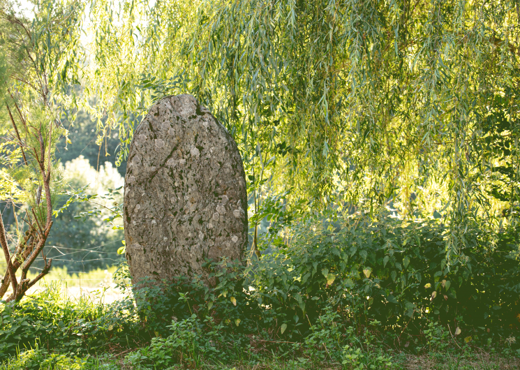Statue-menhir sous un saule, en été
