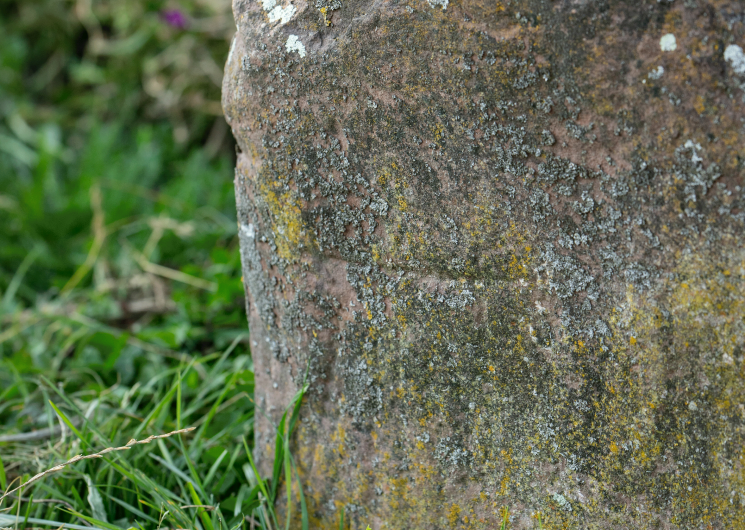 Détail de la partie supérieure de la statue-menhir