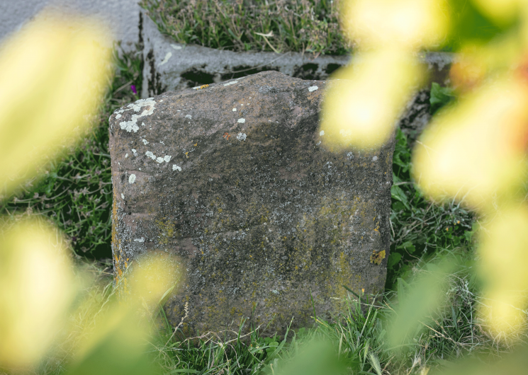 Statue-menhir partiellement dissimulée par la végétation