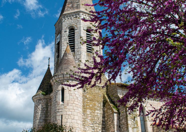 Église Saint-Michel_Cestayrols