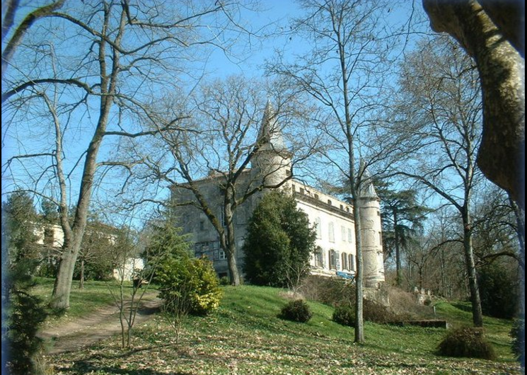 Château de Scopont