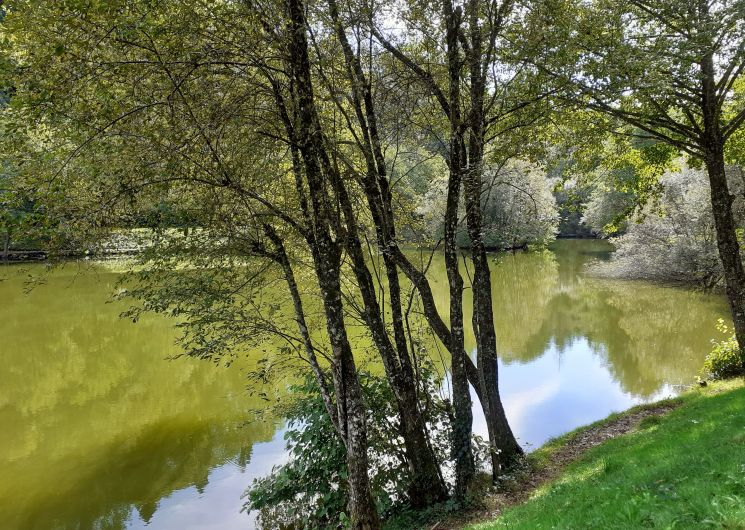 Lac de la Broussonnié