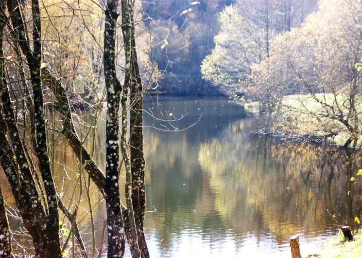 Lac de la Broussonnié